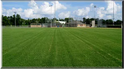 Delford Rieff Park