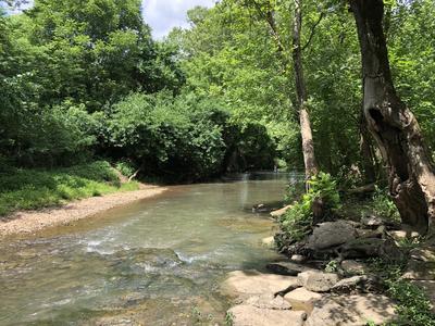 A view from Muddy Fork Creek along the Muddy Fork of the Illinois River